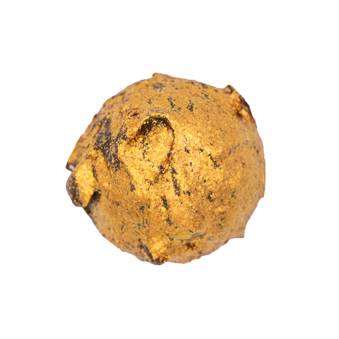 Fotos Website Zuschnitt_18.png